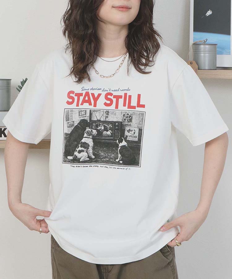 dogフォトTシャツ