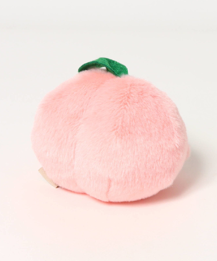 【WEB予約 8/6～順次発送】夏のもぎたてぽちゃ