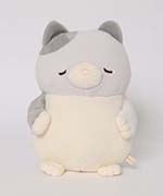 みーこ