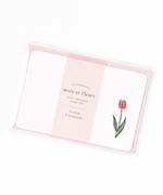 tulip
