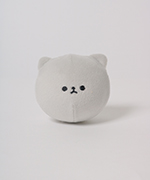 ブリティッシュショートヘア