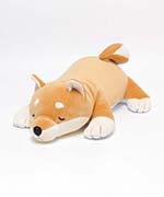 コタロウ