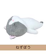 ねずぼう