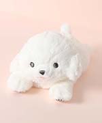 ビションフリーゼ