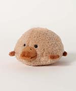 かものはし