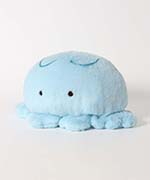 クラゲ