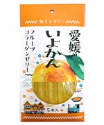愛媛のいよかん