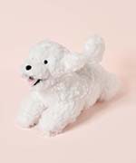 ビションフリーゼ