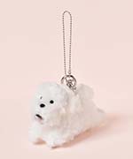 ビションフリーゼ