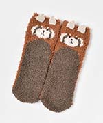 レッサーパンダ