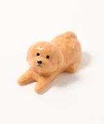 トイプーベージュ