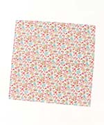 ナンシーアンレッド