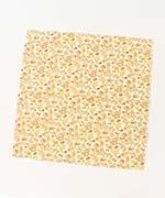 ナンシーアンイエロー