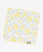 イエローシード