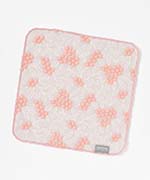 コーラルシード