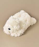 シエル(サモエド)