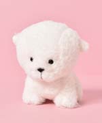 ビションフリーゼ