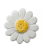 デイジーホワイト