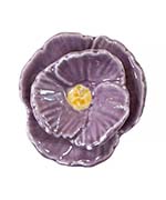 ポピーパープル