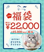 22,000円