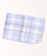 チェックブルー