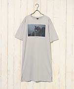 ブリティッシュショートヘア