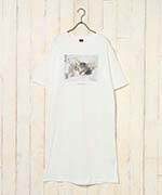 アメリカンショートヘア