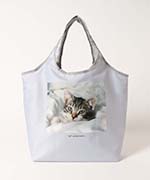 アメリカンショートヘア