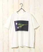 チューリップ