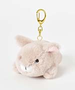 ネザーランドドワーフベージュ