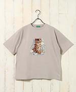 ブラウンキャット*グレイ