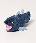 シーラカンス