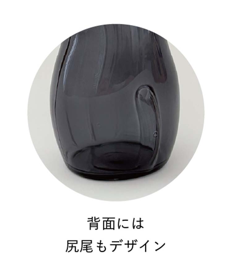 グラスキャットベース