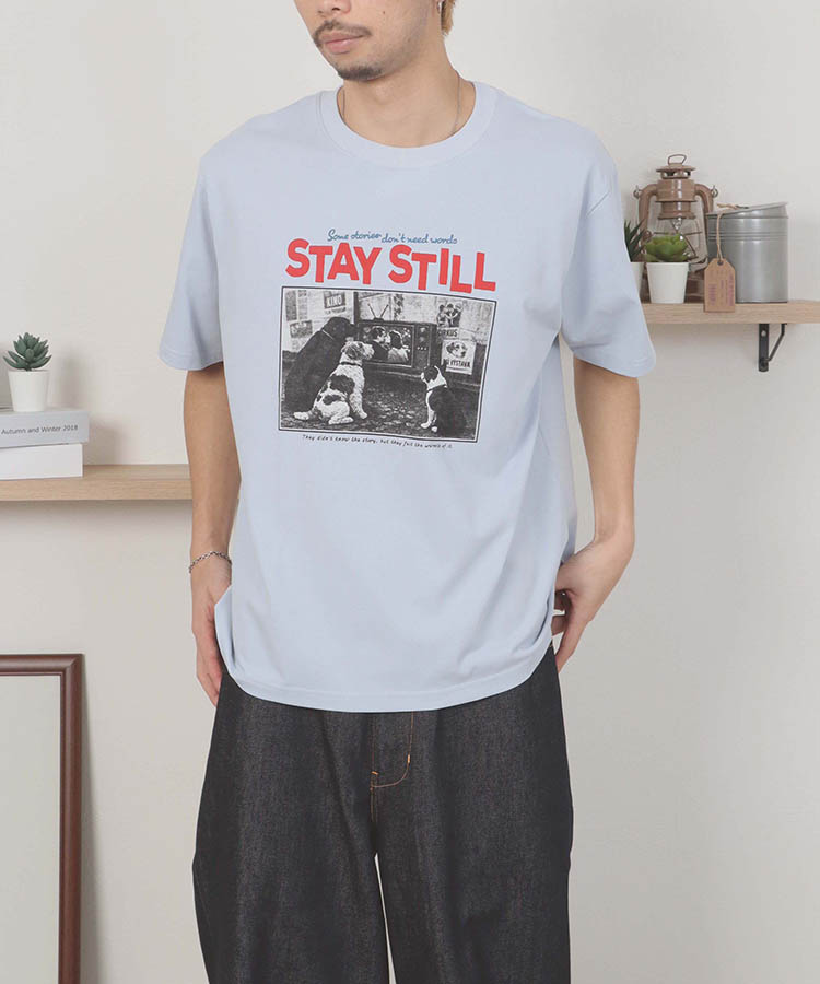 dogフォトTシャツ