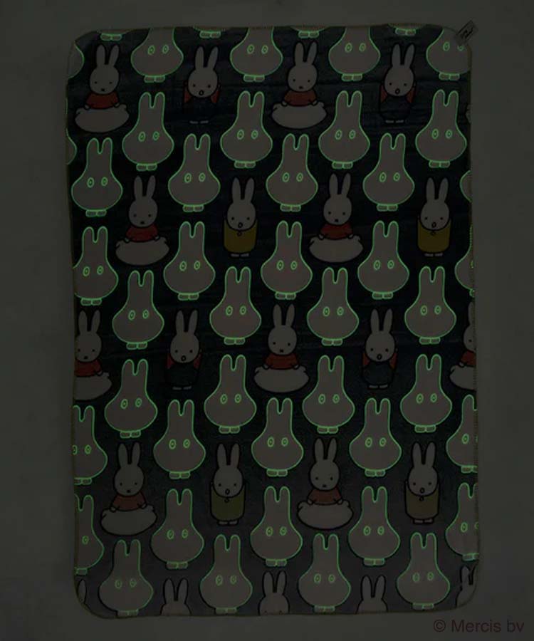 【WEB限定】Dick BrunaファニーブランケットL