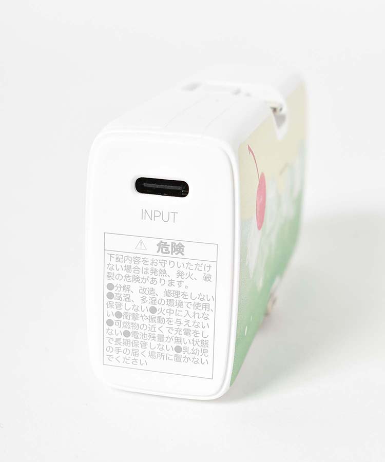 【WEB限定】コネクタ付きリチウム充電器4000mAh