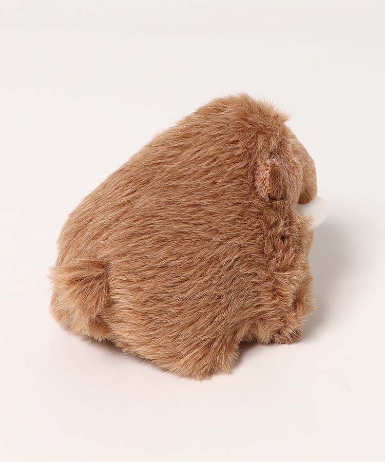 【WEB予約 7/16～順次発送】古代生物ぽちゃ