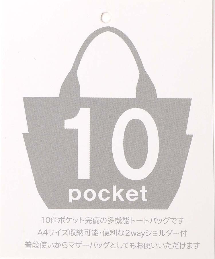 高密度10P ボストン