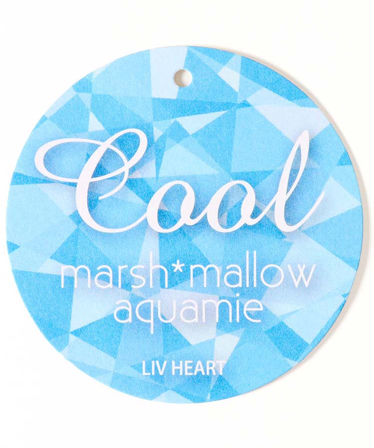 アクアミエクールボルスター