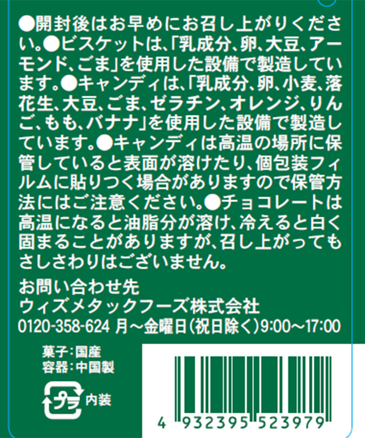 クリスマススタンディングサンタ＆ベアティン