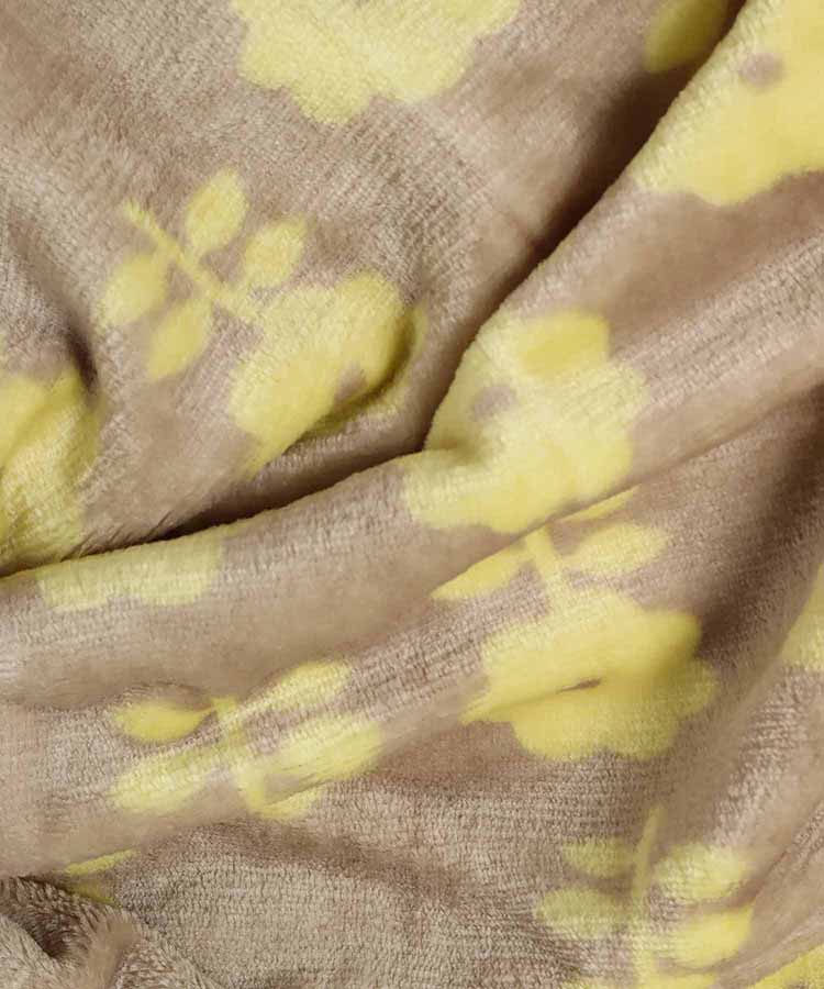 アルネブランケット