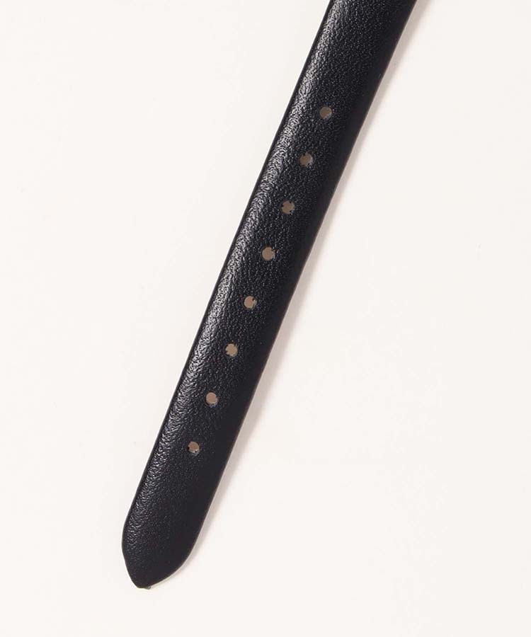 オーソンウォッチ大