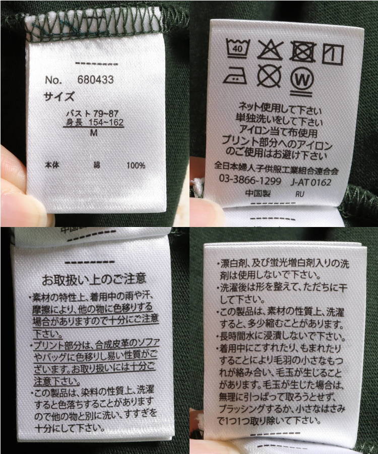 恐竜ぷっくりTシャツ