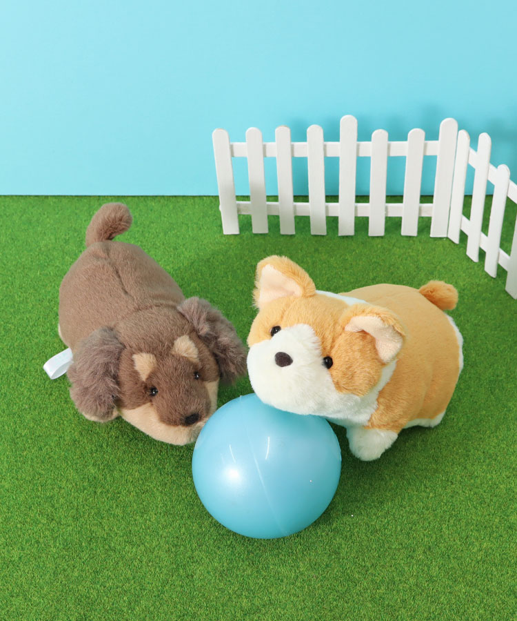 ショートレッグぽちゃ