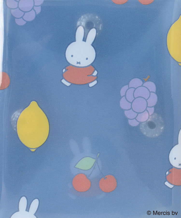 ミッフィーカラフルクリアマルチケース