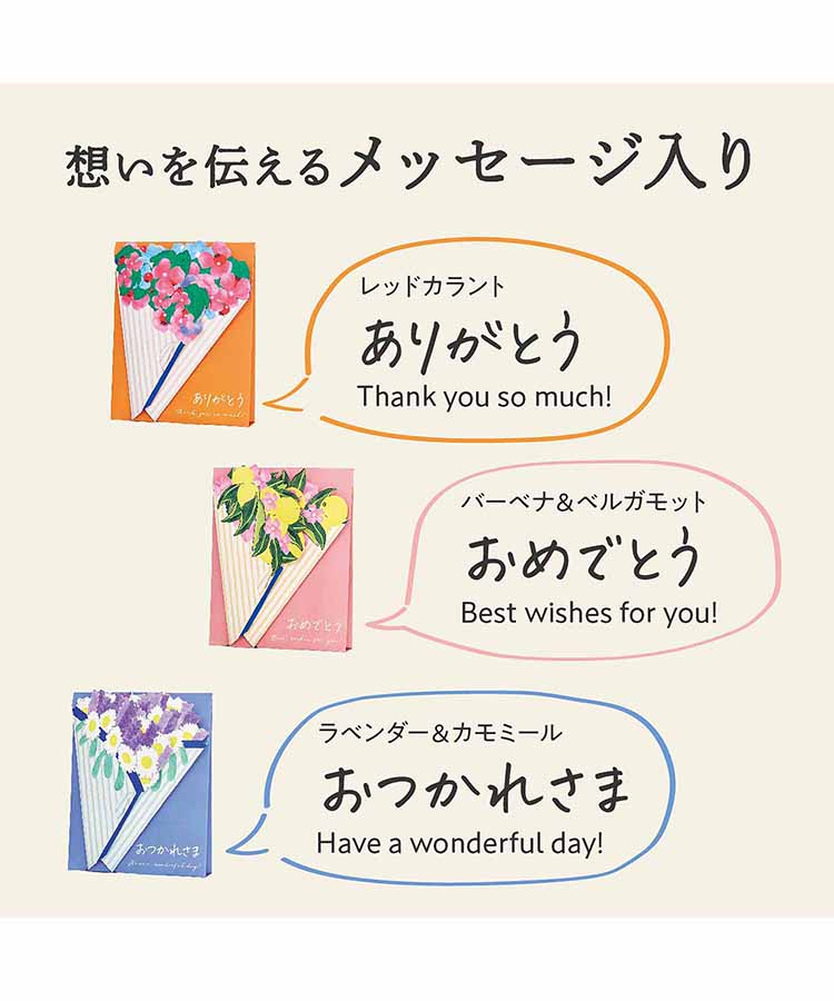 サンハーブバスパウダーセット