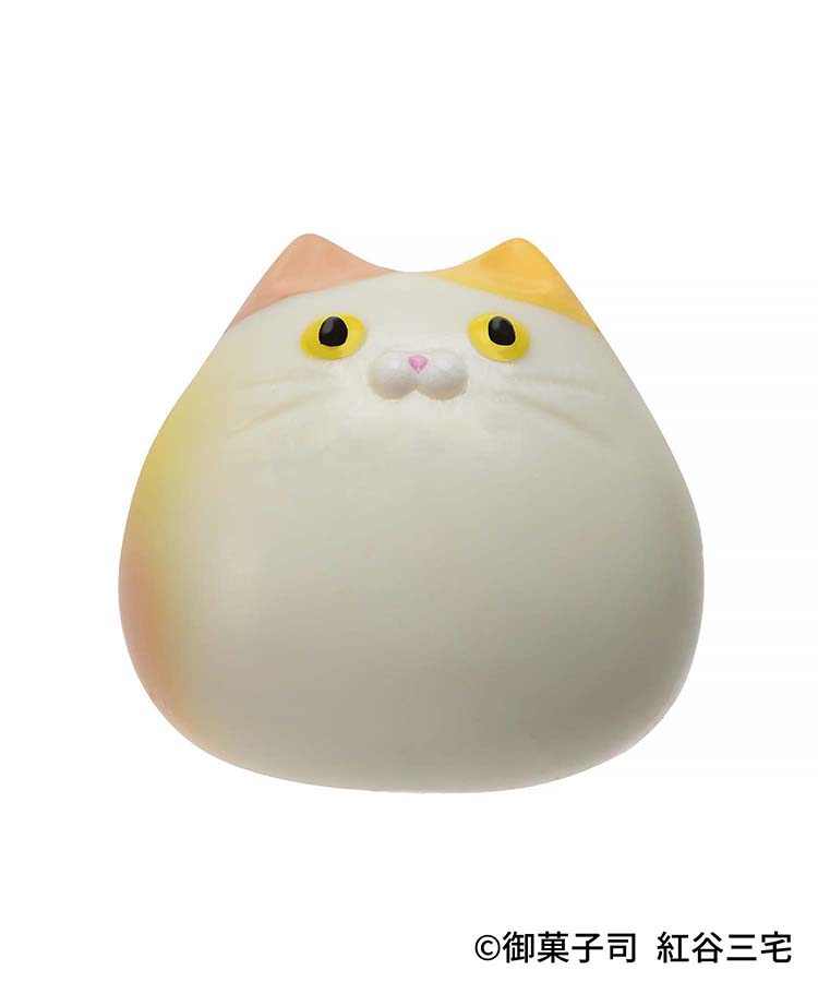 紅谷三宅ねこたまバスボール