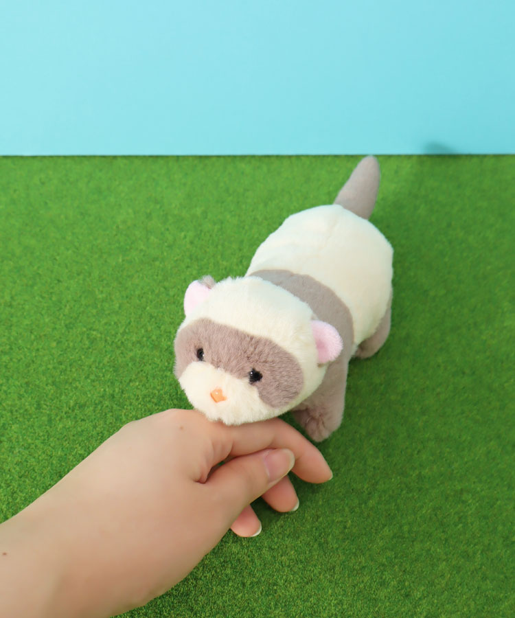 ショートレッグぽちゃ