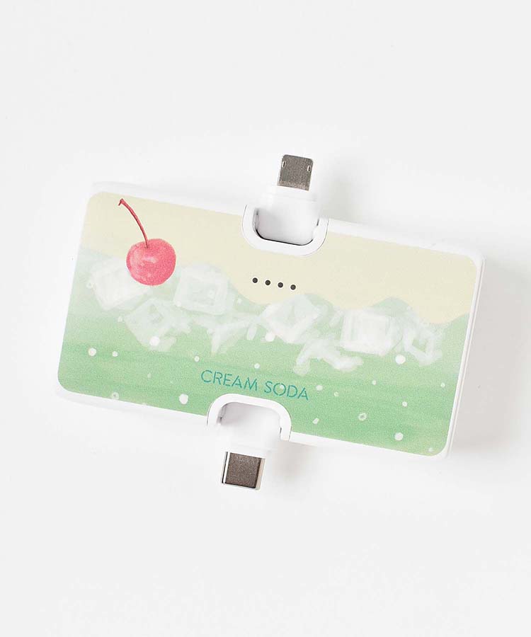 【WEB限定】コネクタ付きリチウム充電器4000mAh