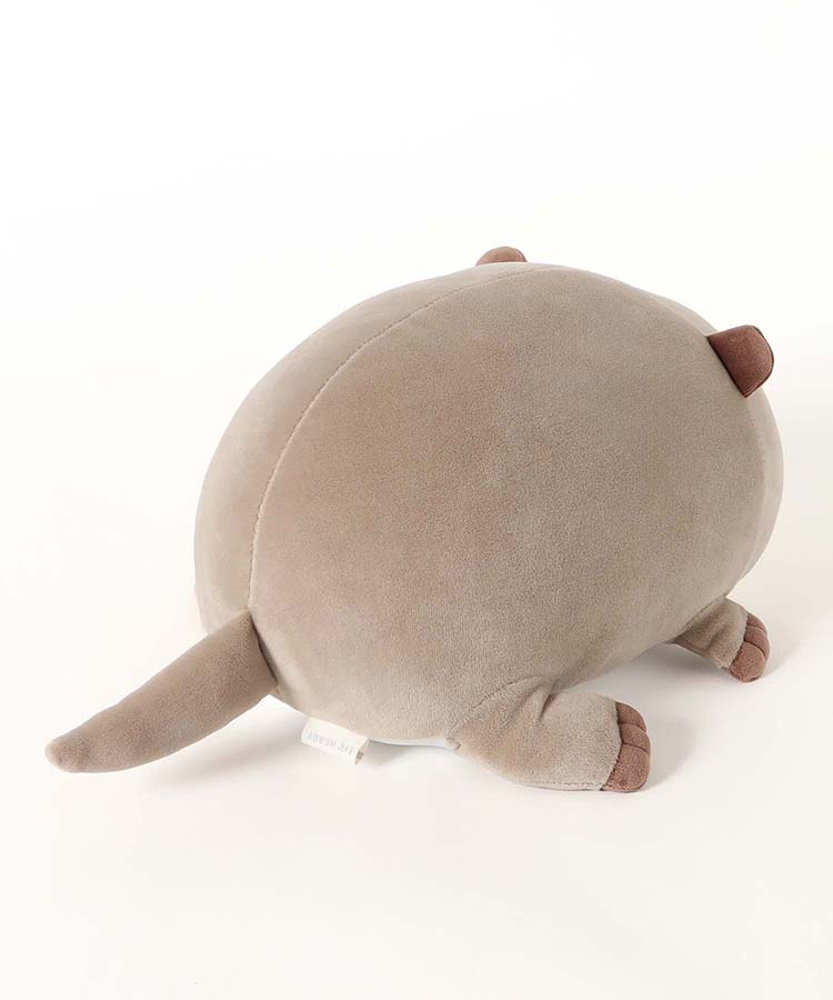 アクアミエクールボルスター